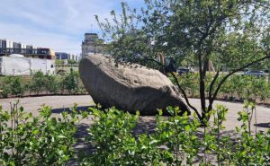 Kamień zamiast pomnika. Polska pamięć w cieniu Berlina